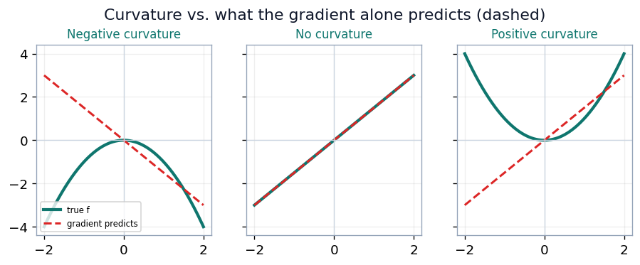 A curved function compared against the straight-line prediction of the gradient, showing how positive curvature causes a gradient step to overshoot